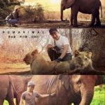 Humanimal-2020-224x300