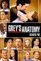 Grey's Anatomy Season 5 Poster