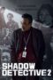 Shadow Detective 2
